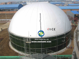 biogas reactor tank equipped with double membrane roof to co