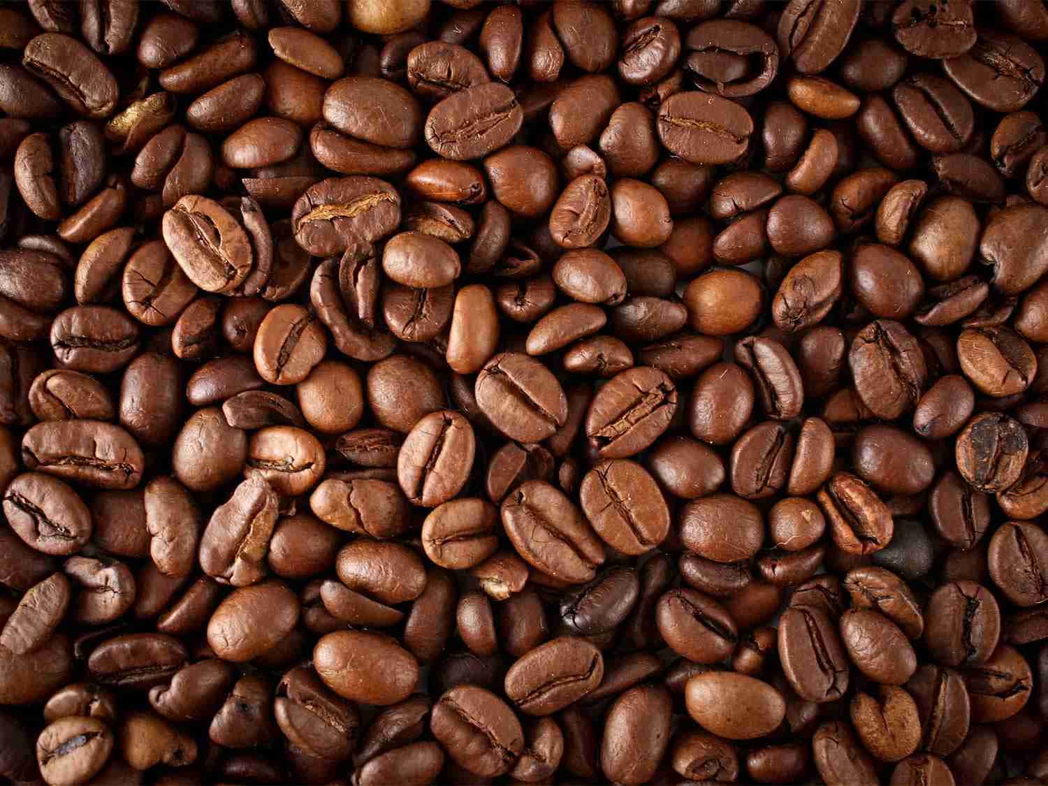 organic coffee wholesale