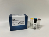 PaxView SARS_CoV_2 real_time RT_PCR Kit