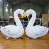 A pair of white swans Inflatables