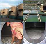 Sand Filter Waste Cleaning, Screening and Recycling Business