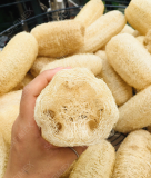 Natural loofah whole shape 10_15cm from Vietnam supplier