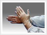 Cleanroom Products (PVC GLOVE) 