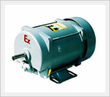 Explosion-proof 3-PH Induction Motor