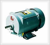 Explosion-proof 1-PH Induction Motor