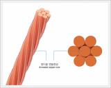 Annealed Copper Stranded Wire for Electrical Purpose(AS)