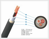 0.6 / 1kV XLPE Insulated Power Cable(CV)