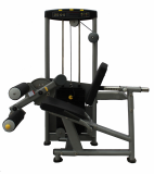 LY-1314 Extension & Curl Machine For Gym Use