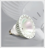 LED PAR38 Lamp