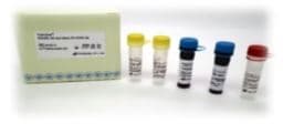Korean Made COVID_19 RT_PCR Detection Kit
