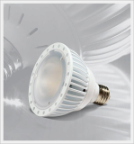 LED PAR30 Lamp