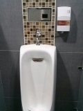 Urinal washing apparatus