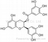 Tea polyphenol(EGCG,Catechin)