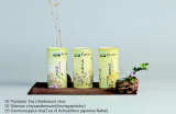 Purslane Tea & Siberian chrysanthemum & Soemureuppul tea