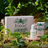 Koleur Collagen Ampoule