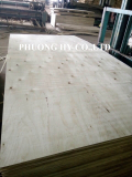 Plywood packing grade BC small size cut as requirement