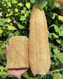 Natural loofah whole shape full size premium grade for export from Vietnam farm good price 2024