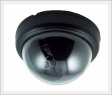 100Dia. High Sensitive Dome Camera [Qnics Co., Ltd.]