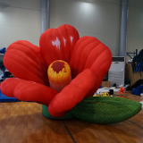 Red round camellia Inflatables