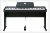 Steinjazz Digital Piano 