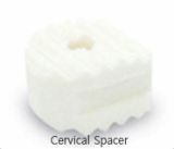 Cervical Spacer