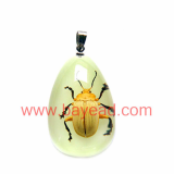 real insect amber necklace jewelry,so cool jewelry,fashion jewelry