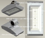 LED Security Light (25W)