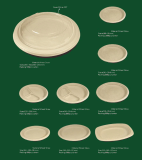 Disposable pulp tableware plate environmental 