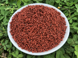 Dried spice annatto seeds for from Vietnam supplier with good price