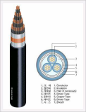 0.6/1KV PVC Insulated PVC Sheathed Copper Tape Shield Cable