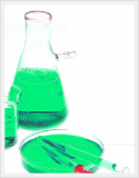 Aluminum Sulfate (Aluminum Sulfate)