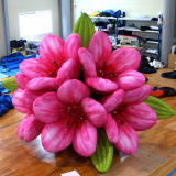 Pink Sesame Bouquet Inflatables
