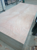 Cheap commercial grade plywood AB from Vietnam factory 4x8