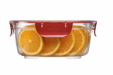 BPA FREE FOOD CONTAINER (1013)
