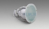 induction lamp  energy saving light  Downlight  