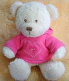 Teddy Bear toy