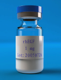 Recombinant human epidermal growth factor (rhEGF)