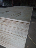 Plywood grade BC glue MR thickness 2mm to 24mm for Korea