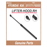 81171F6000 _ LIFTER_HOOD_RH _ Genuine Korean Automotive Spare Parts _ Hyundai Kia _Mobis_