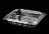 Disposable food container, take out , salad