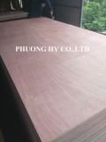 Plywood AB grade packing Okoume face _ local wood veneer