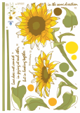 Sunflowers / KR-0057