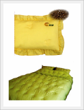Environmentally Friendly Pillows