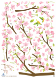 Cherry Blossoms / KR-0067