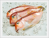 Jeju Tile Fish (Also Called 