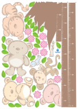 Bear Growth Chart / KR-0031