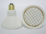 YL LED Bulb