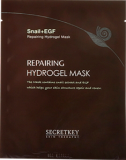 [ facial mask pack sheet ] snail+egf repairin
