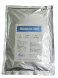 Bifidobacterium longum