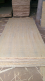 Plywood AB grade from Vietnam Okoume and local wood
